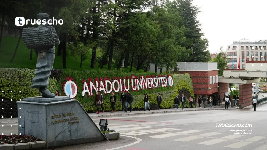 جامعة أناضولو